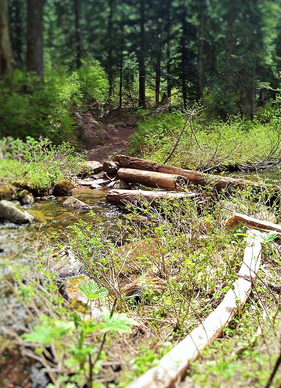 log2small